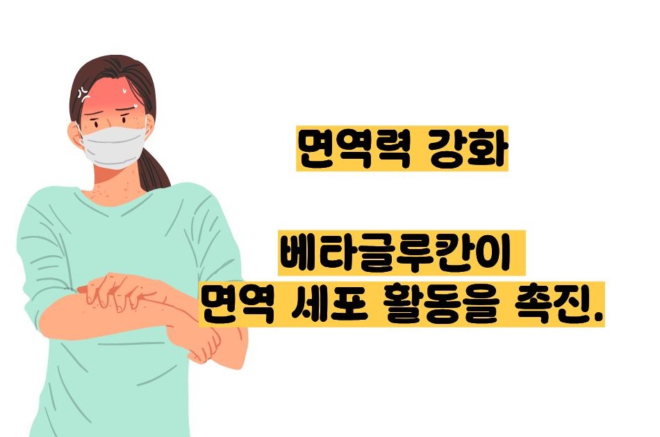 귀리 효능과 부작용