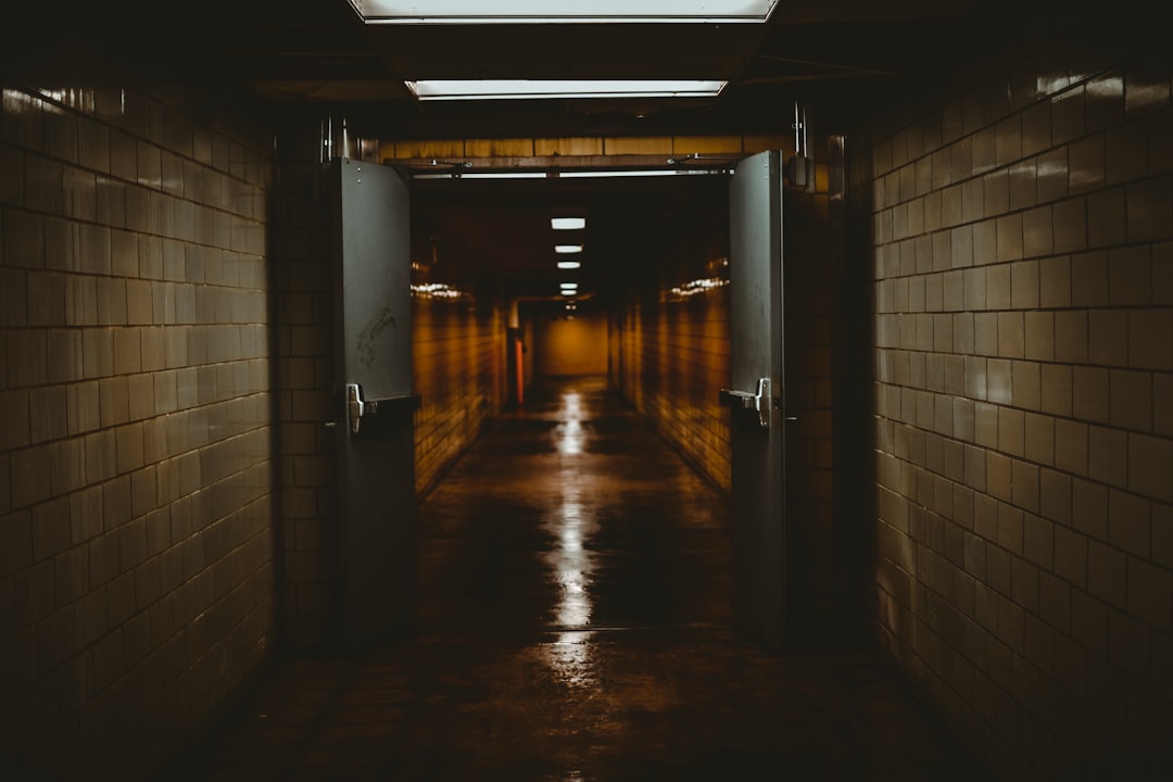 Asylum.