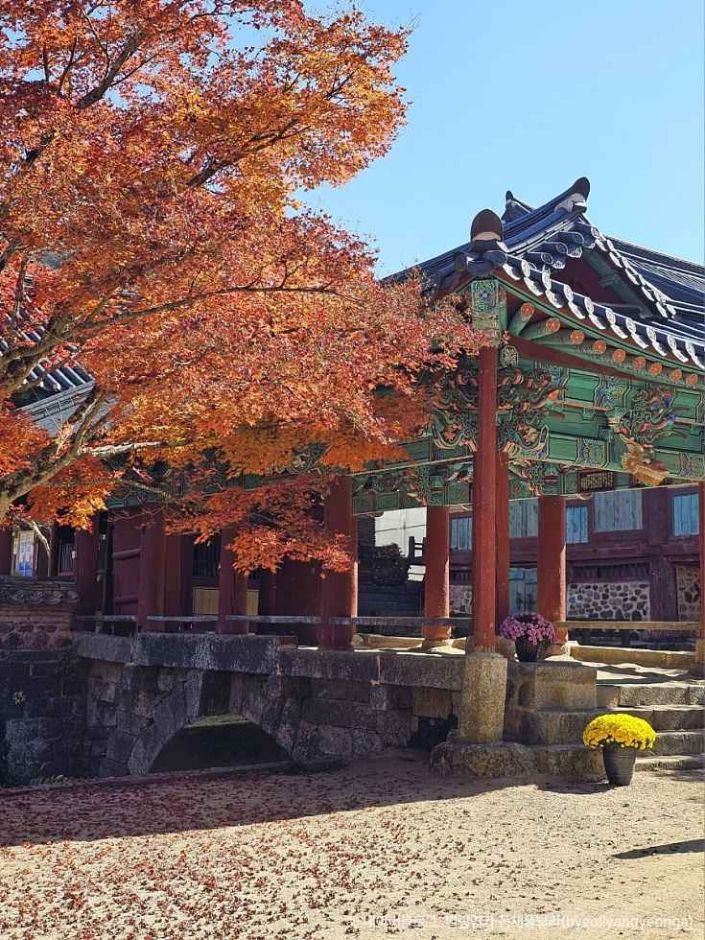 순천 가볼만한곳 베스트10