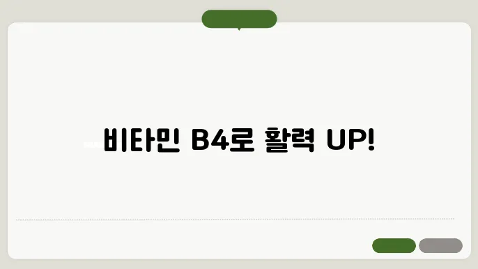 비타민 B4 많이든 음식