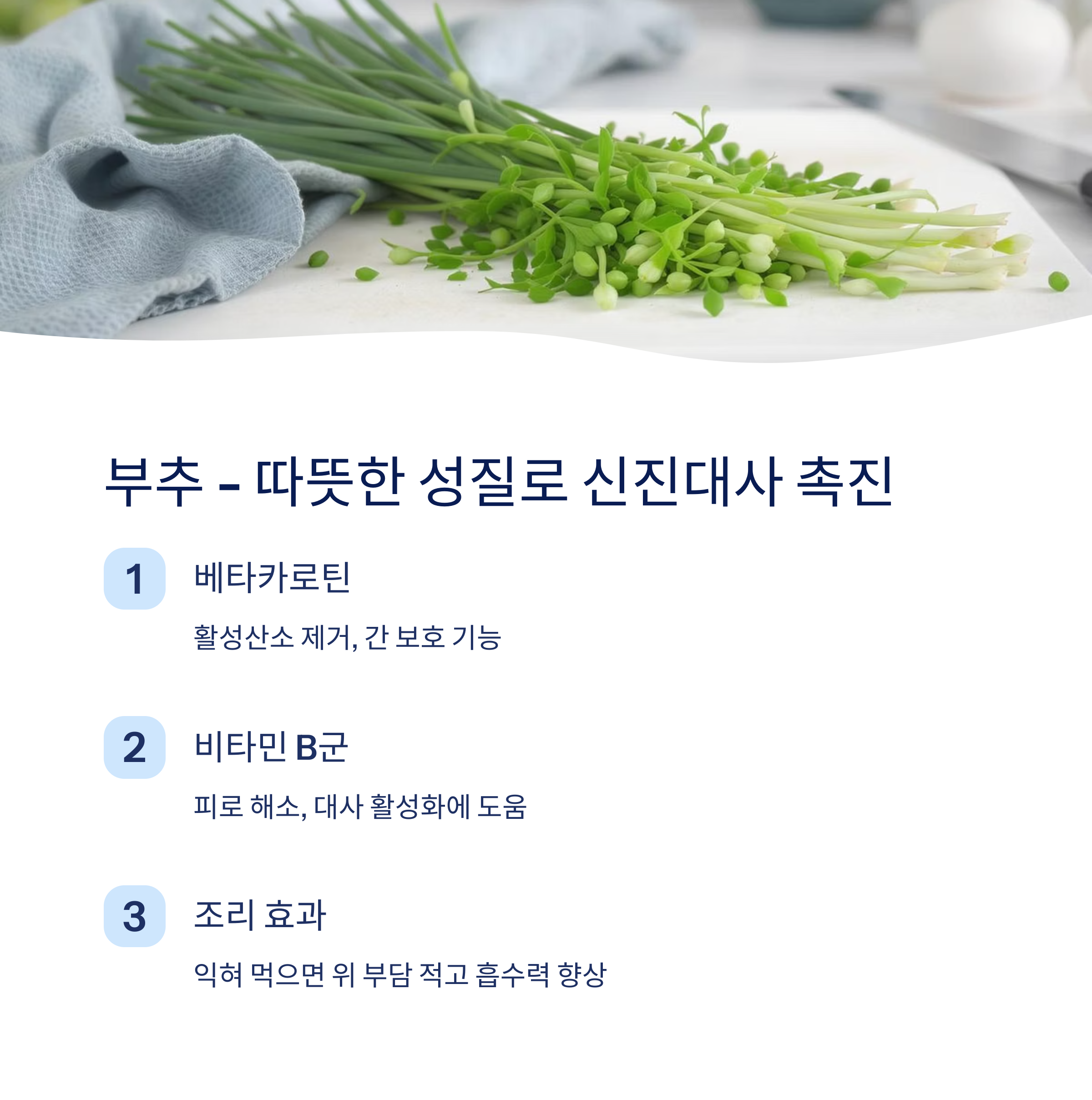 부추 따뜻한 성질