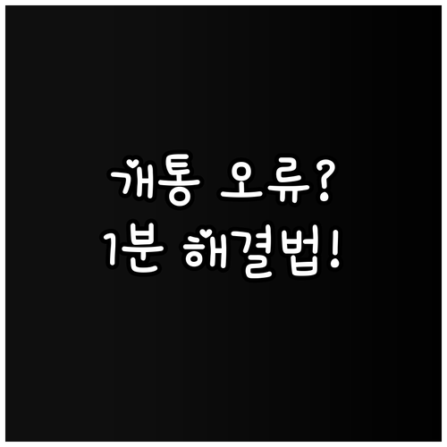 알뜰폰 개통 오류 사전 동의 인증 실..