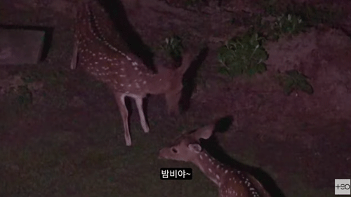 정글타워 체험7