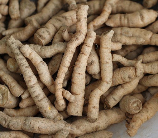 지왕 효능과 성분 및 영양소