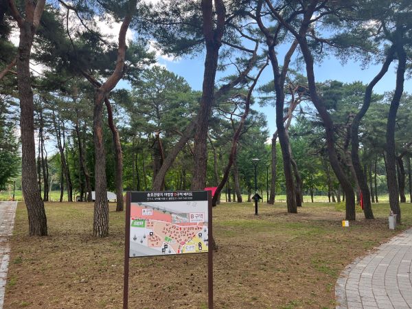 송호캠핑장 B구역
