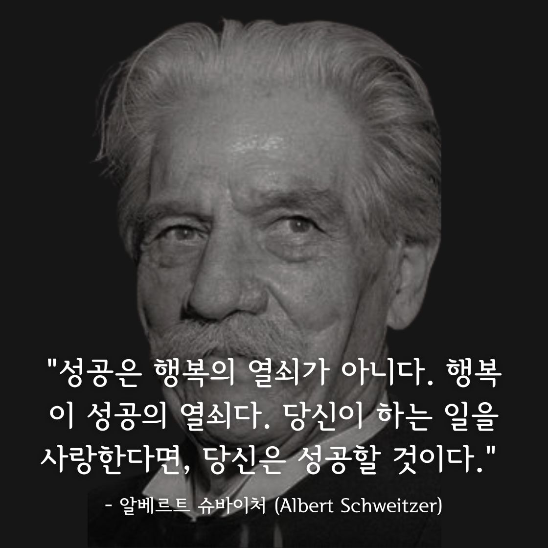 알베르트 슈바이처 (Albert Schweitzer)명언