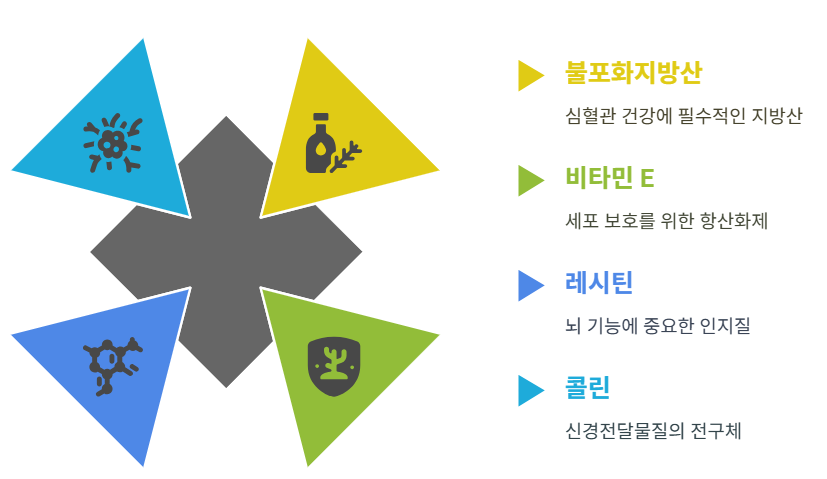 콩기름 식용유 효능