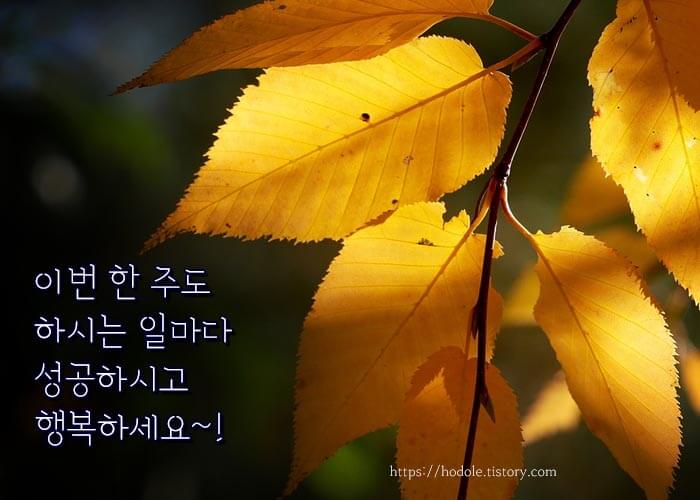 행복한나날보내요