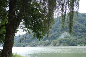 남이섬 어쿠스틱 청춘 페스티벌 총 정리