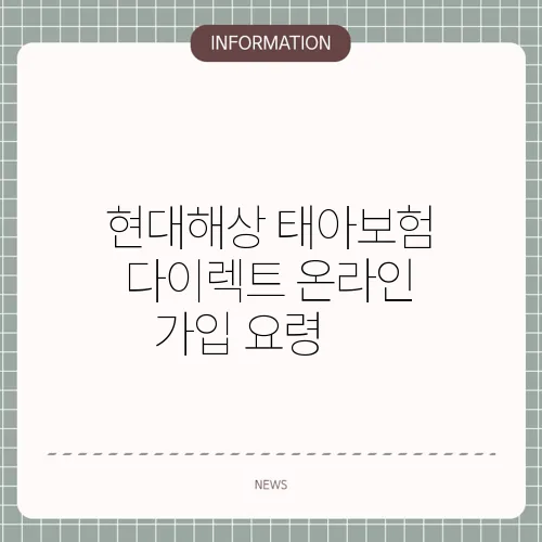 현대해상 태아보험 다이렉트 온라인 가입 요령 💻