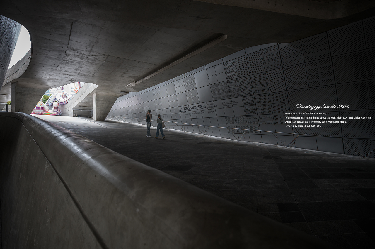 #서울 #동대문디자인플라자 #패션 #디자인 #DDP