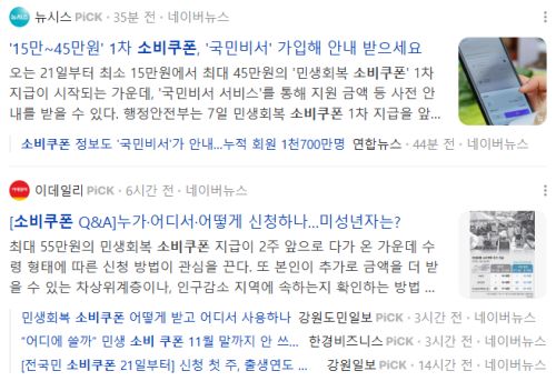소비쿠폰 관련 뉴스 기사들