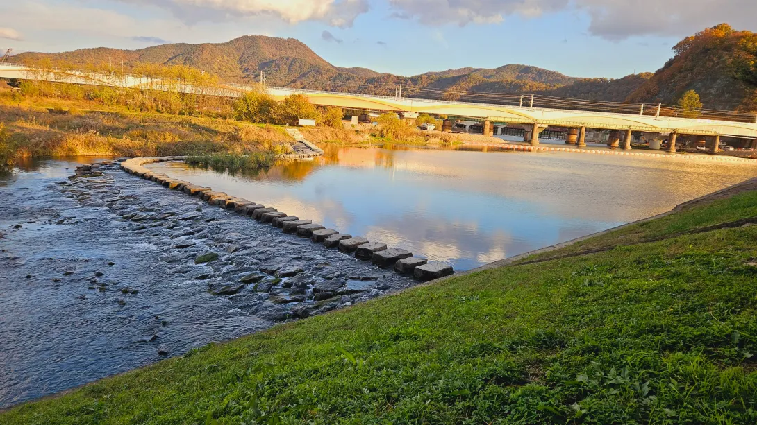 밀양 맥문동 맨발걷기