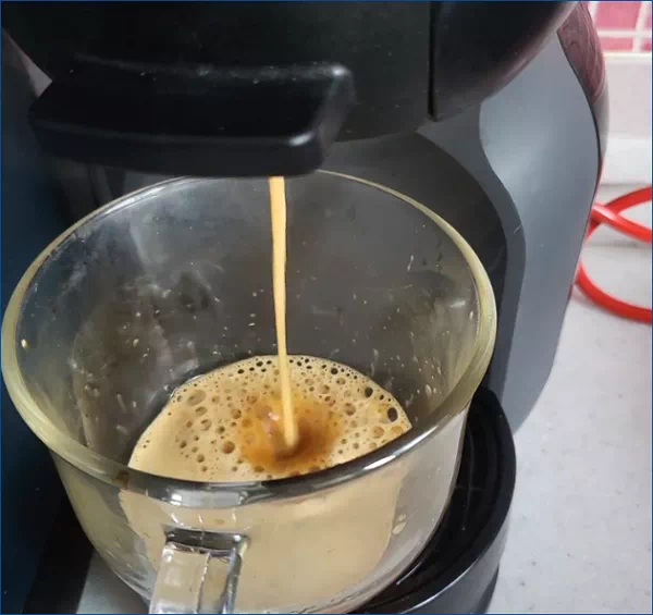 스타벅스 돌체 구스토