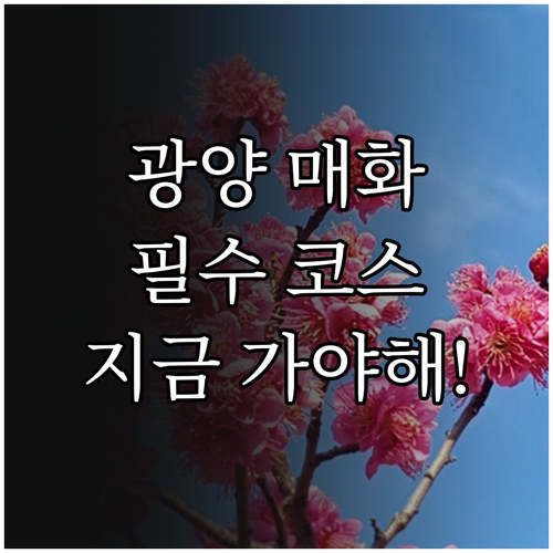 광양 봄 여행지 추천 매화마을 축제와..