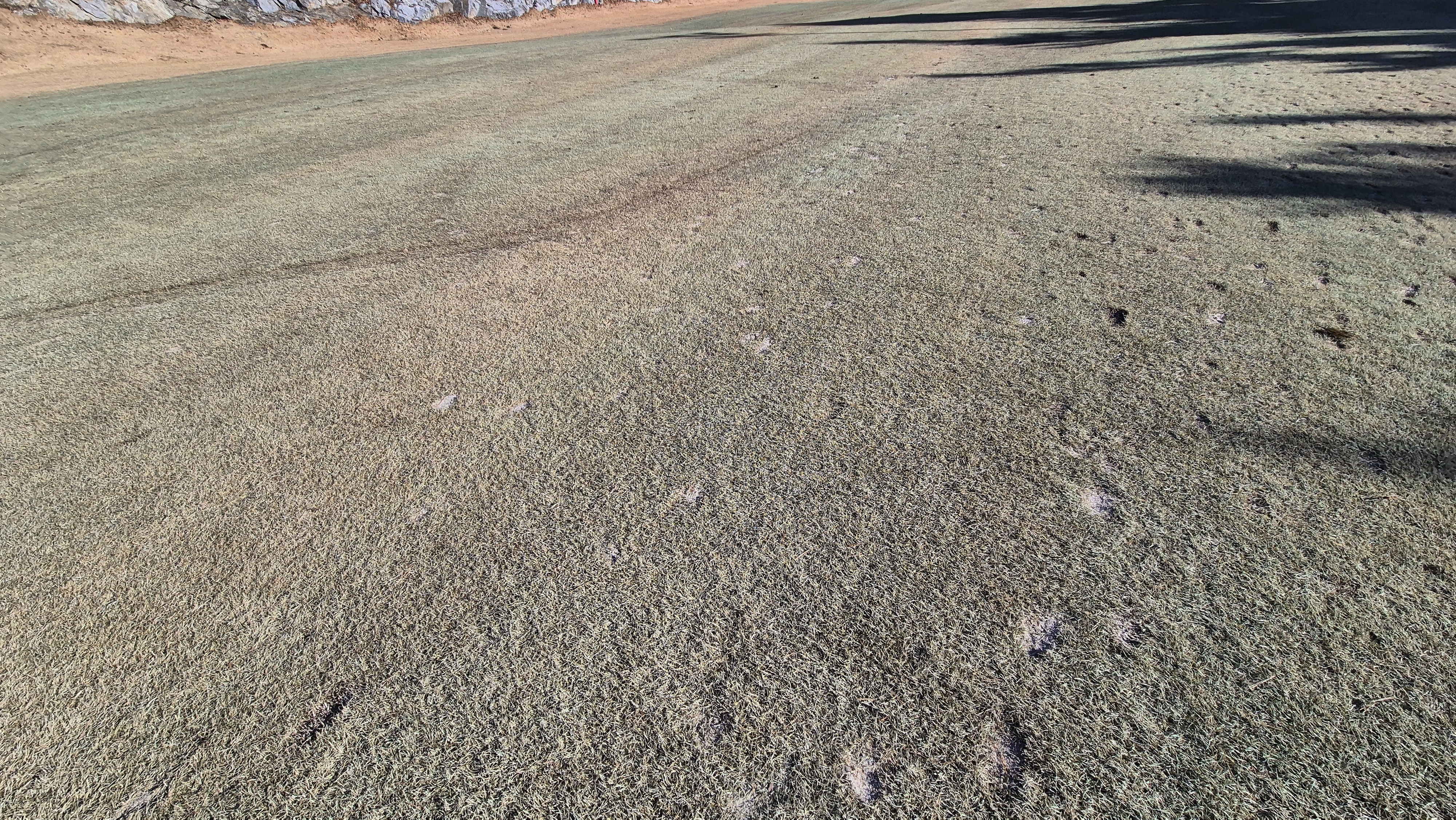 로제비앙gc 로제-비앙 코스 관리 상태