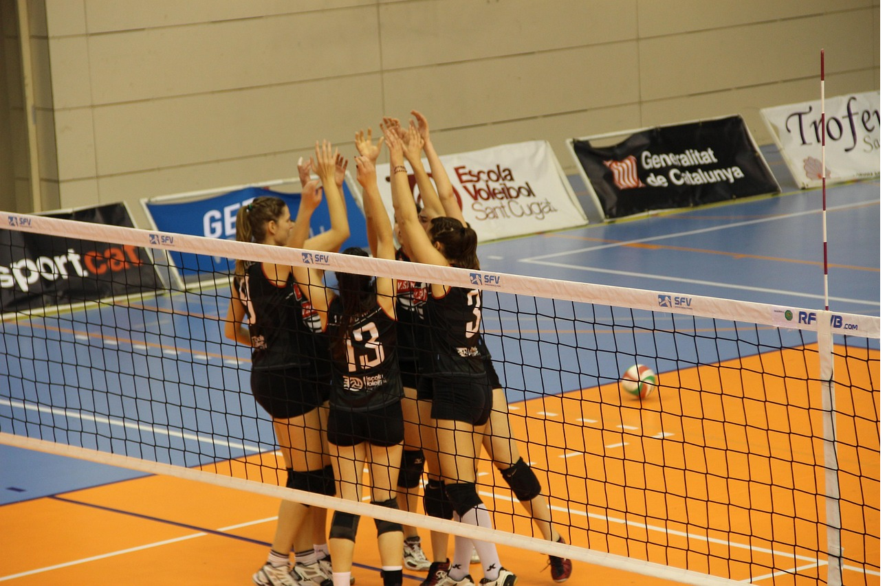 여자배구 챔피언결정전 중계 시청 v리그 생중계 무료 보기 방법