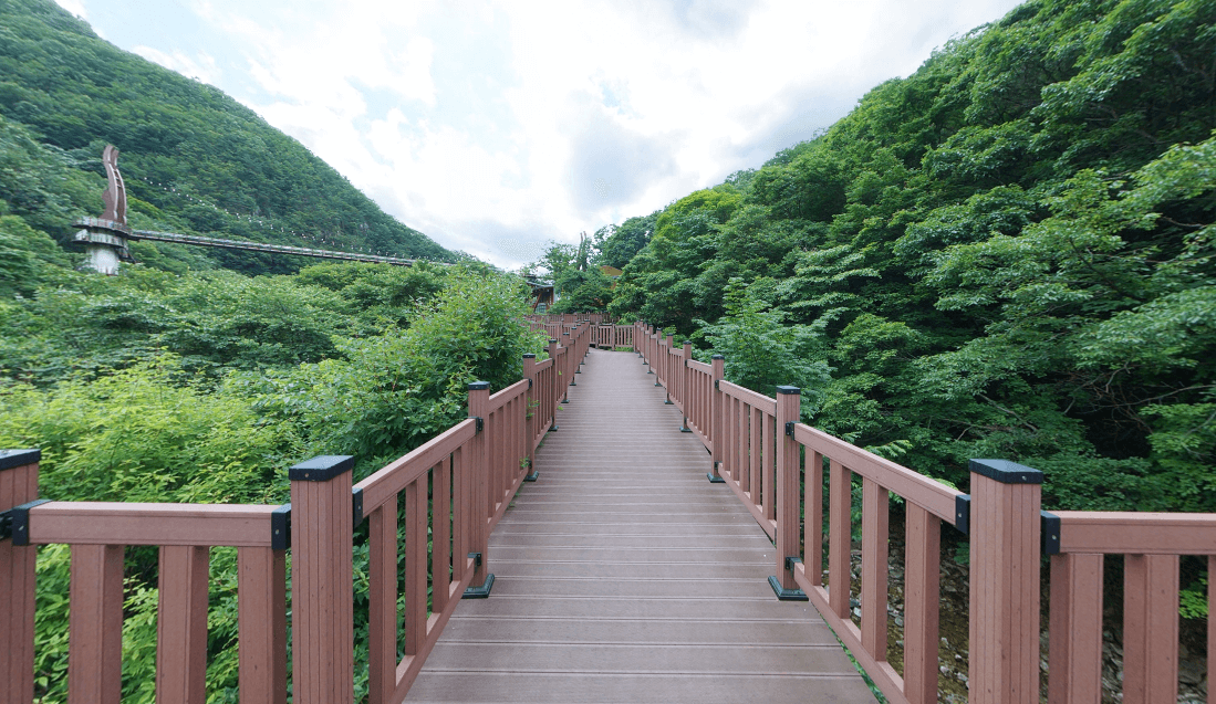 금산산림문화타운 자연 속에서 즐기는 산림 체험