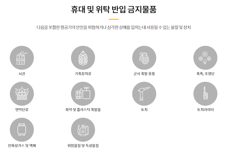 위탁수하물 불가