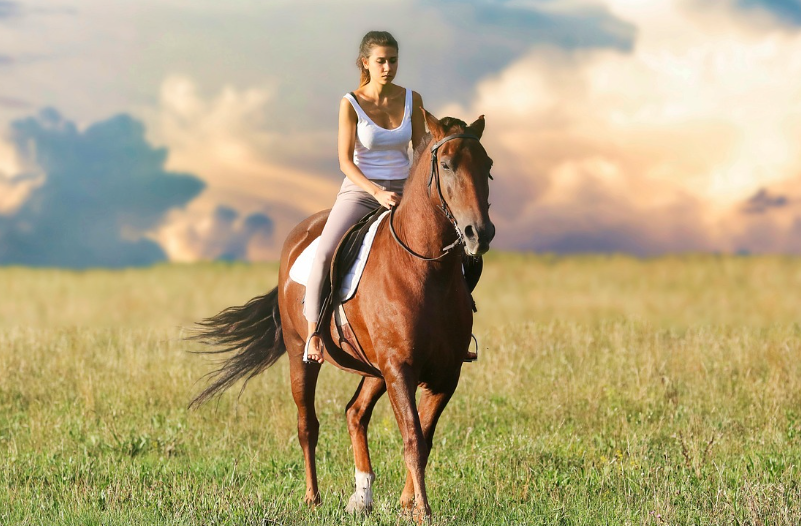 띠별운세 11월 3일