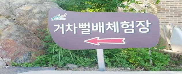 거차뻘배체험장