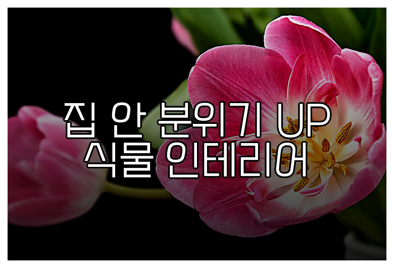 집 안 분위기 UP 식물 인테리어
