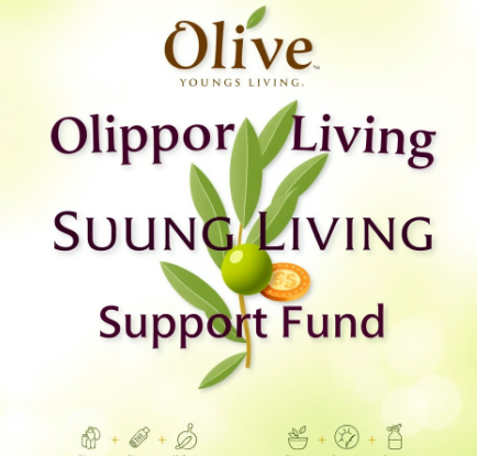 올리브영민생지원금그림