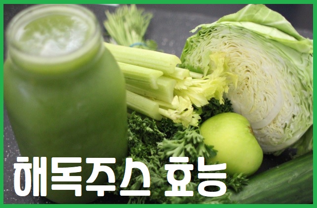 해독 주스 효능
