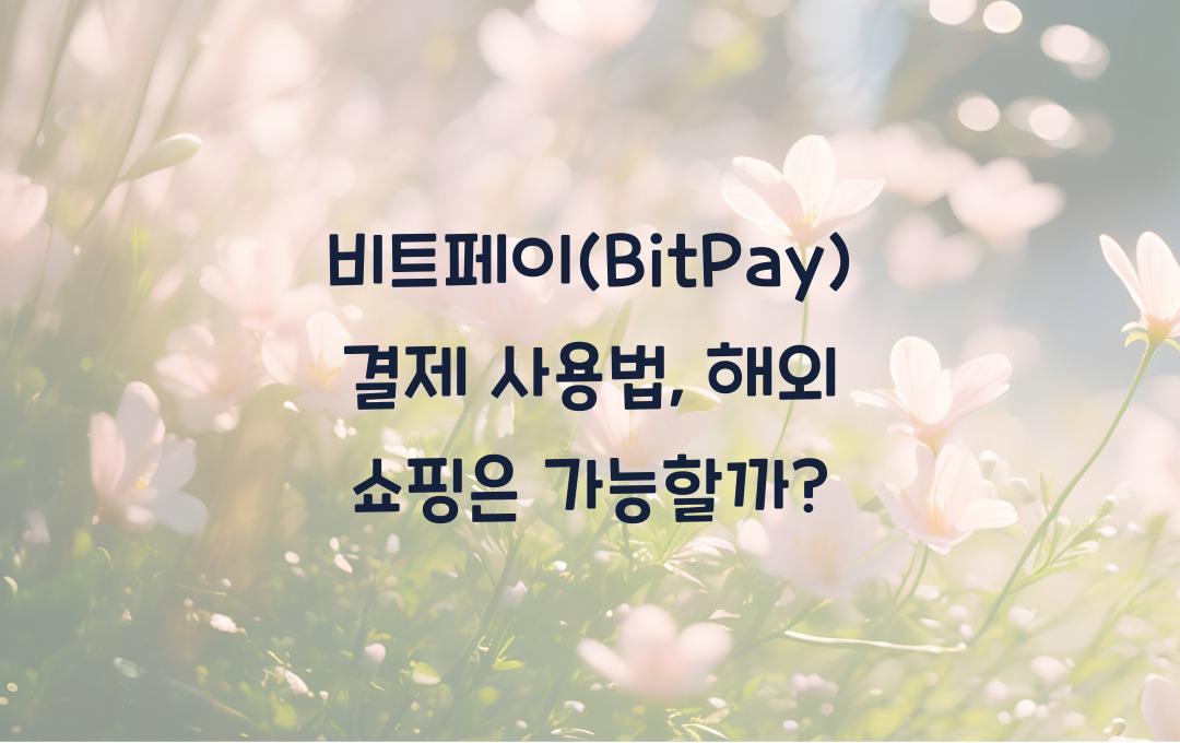 비트페이(BitPay) 결제 사용법 – 해외 쇼핑까지 가능할까?