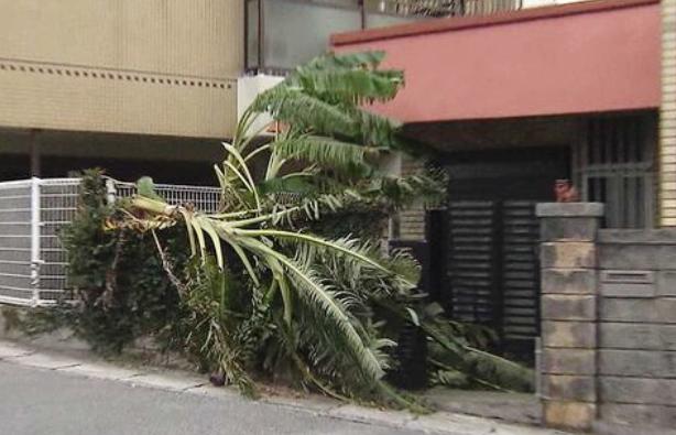 태풍경로 현재위치