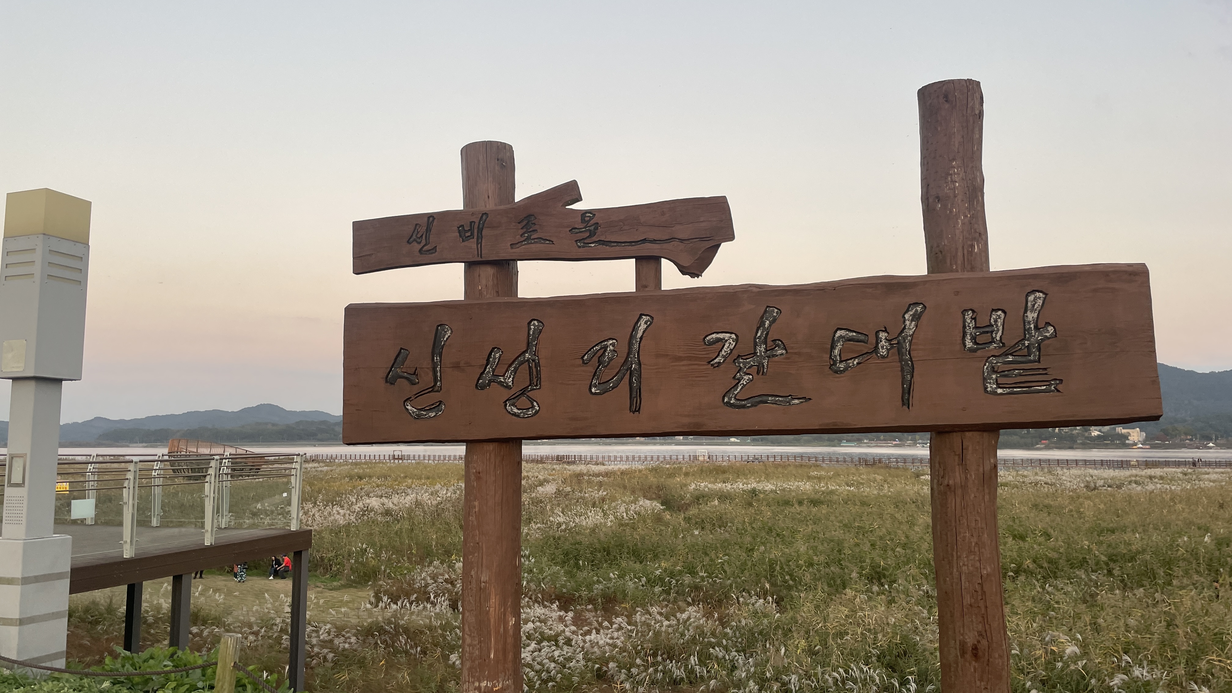 신성리 갈대밭