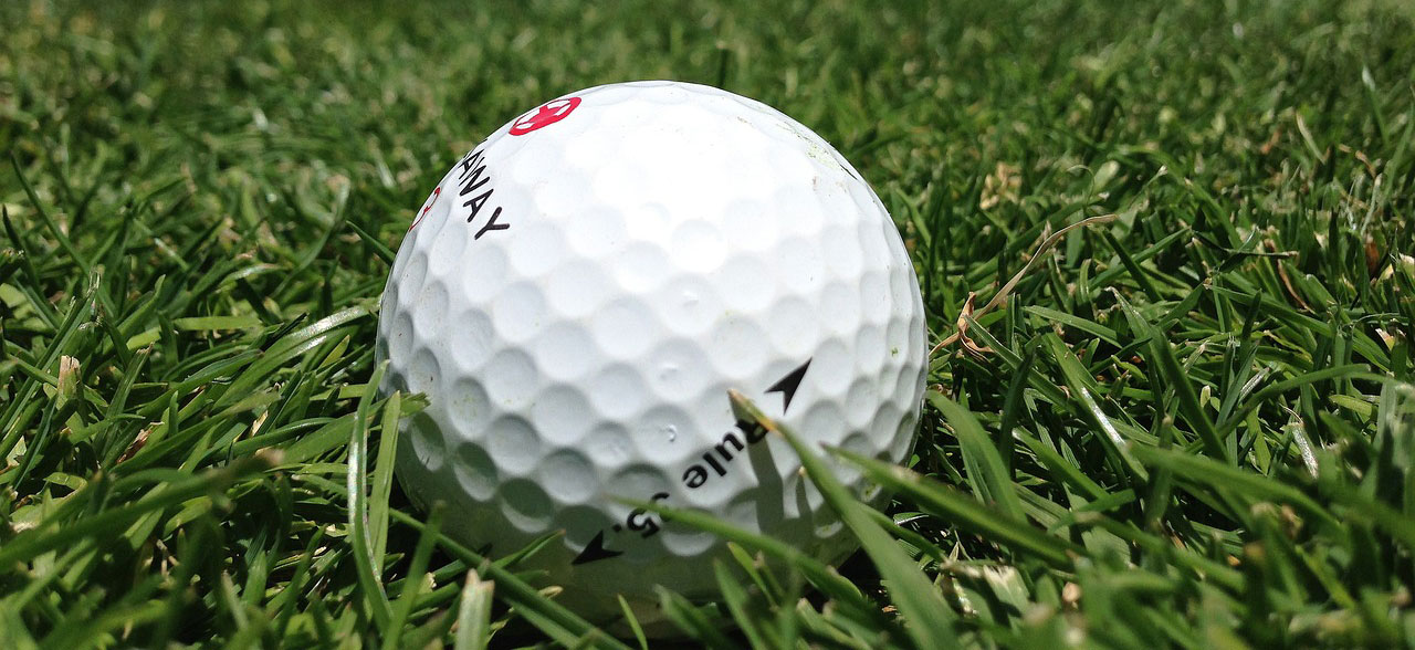 잔디위의 골프공