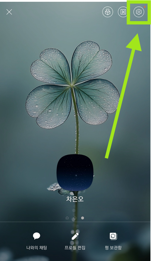 카카오톡 프로필 사진 자물쇠 해제 방법 - 이전 사진 공개 설정하기