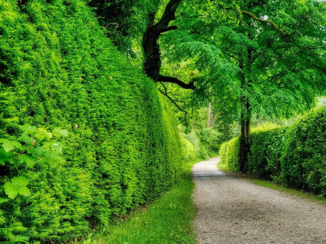숲나들e 취소표 알림 &amp; 잔여석 대기&amp;#44; 고수들의 예약 비법 