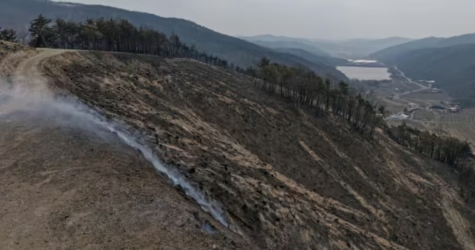 산불 진화율 빠르게 상승 중&hellip;경북 의성부터 안동까지 현황 총정리
