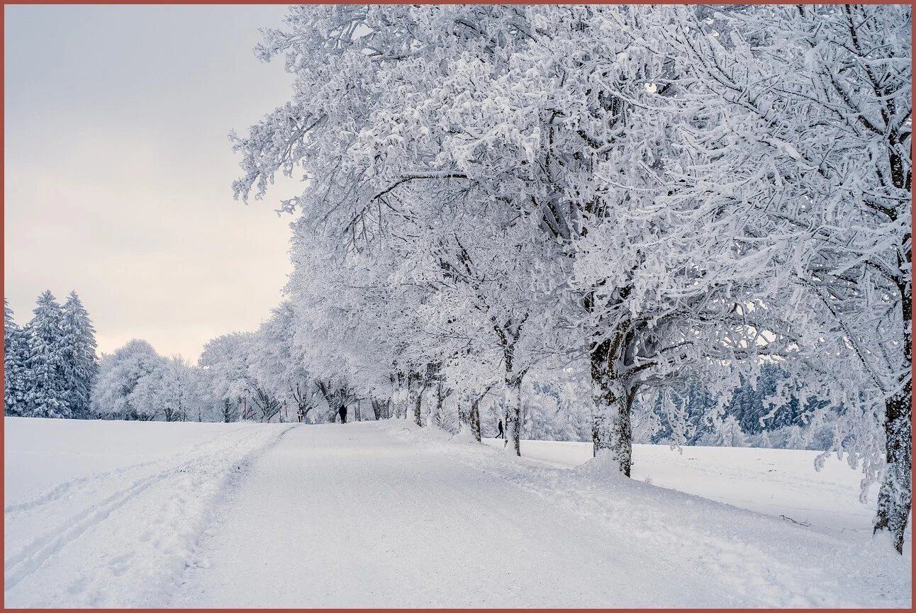 정기예금 이율높은곳