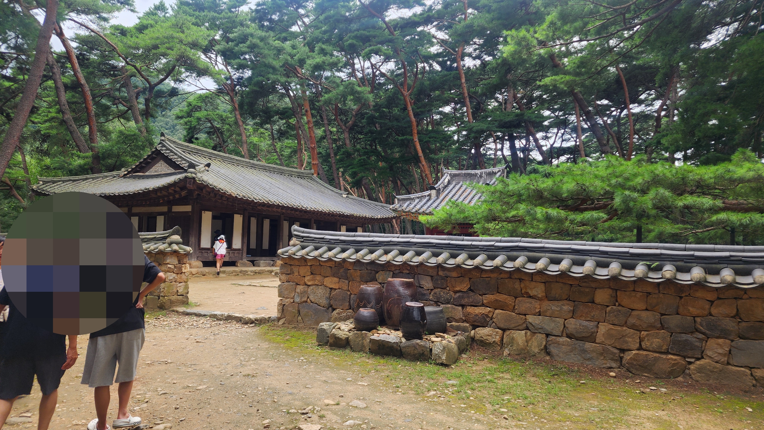 단종의 어소1