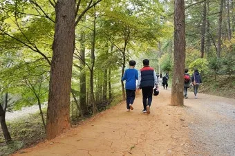 황토길 맨발 걷기 효능과 건강 효과 핵심 정보 정리해보기_26