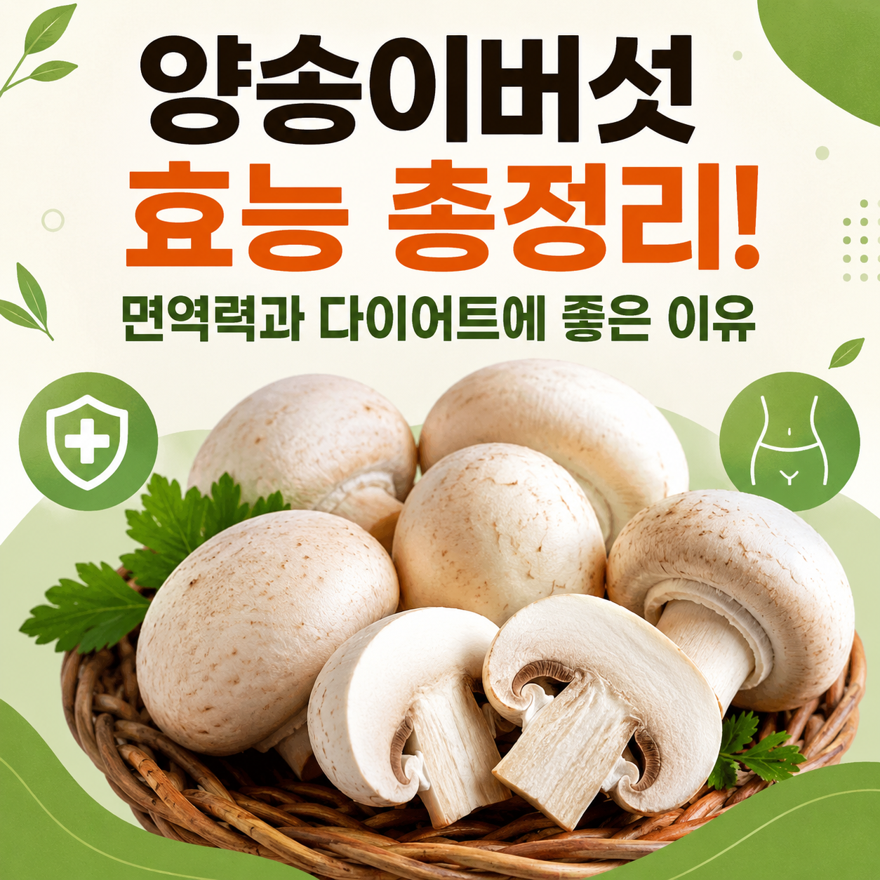 양송이버섯 효능