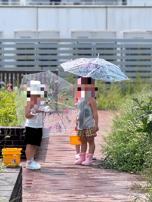 봄비 오는 날, 신나는 비놀이