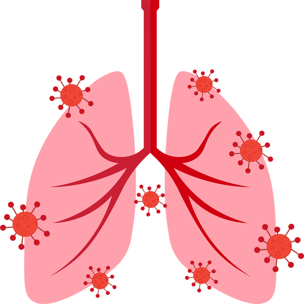 RSV