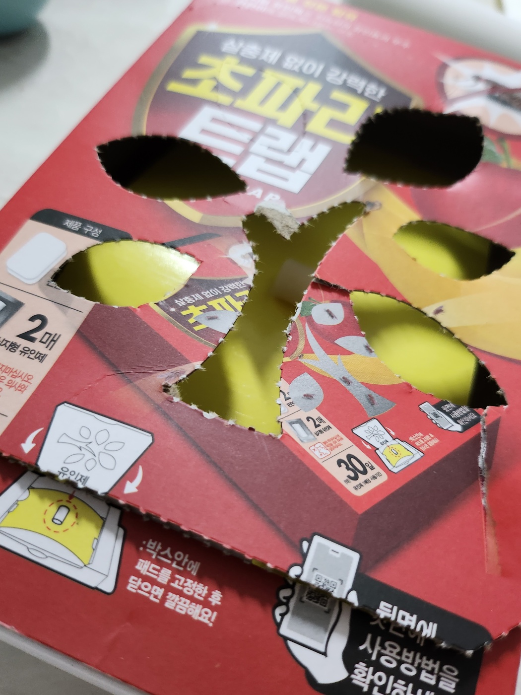 초파리제거 날파리제거방법 초파리트랩