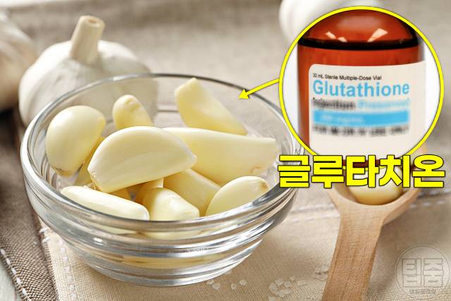 독소배출 음식 디톡스 식단 마늘