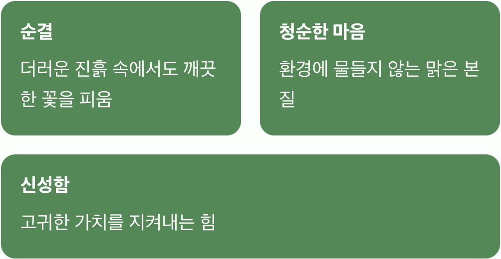 진흙 속에서 피어나는 기적