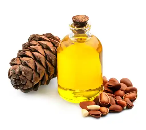 잣 효능효과 영양성분, 먹을 때 주의점