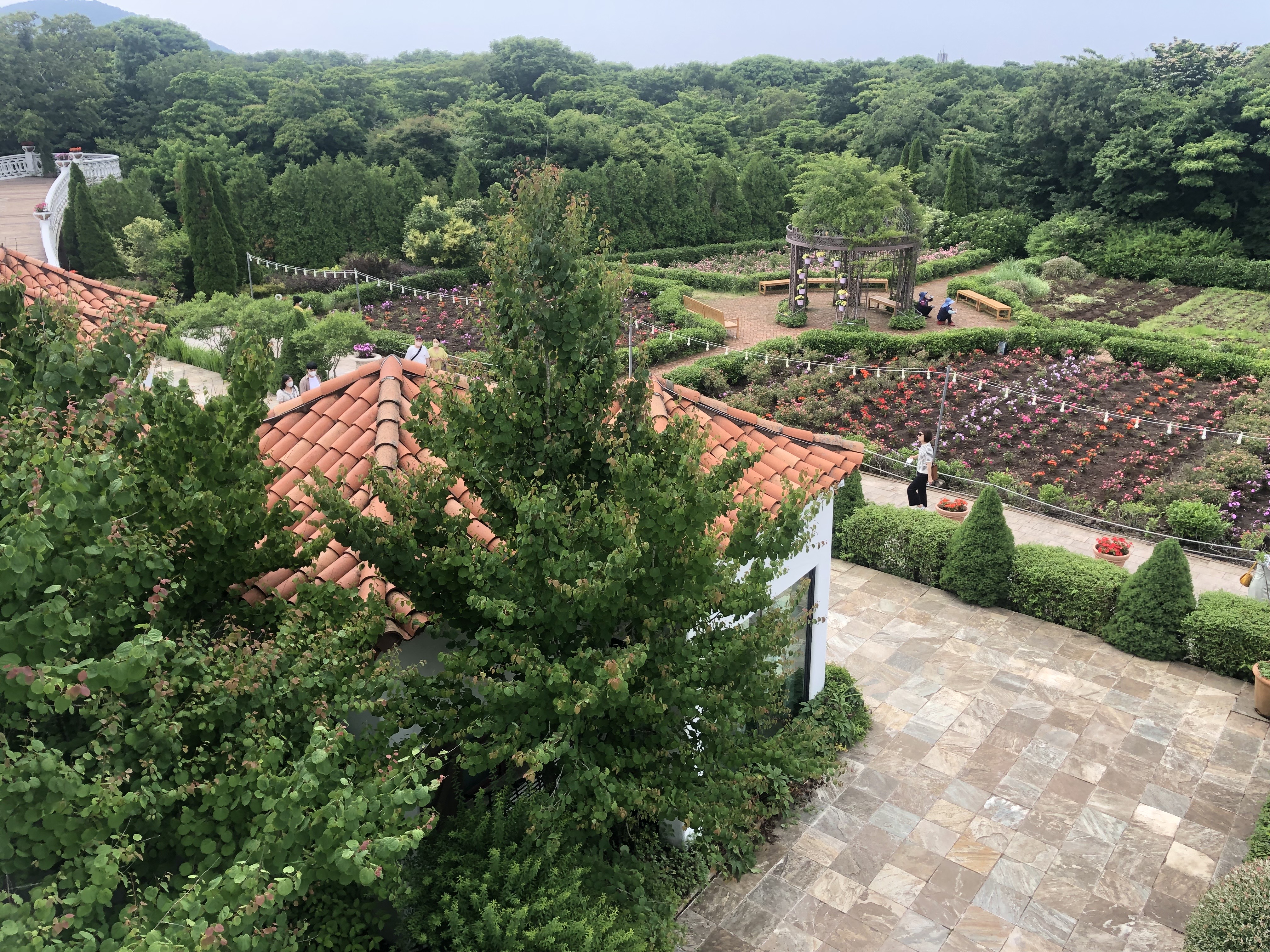 12월에 절대 놓쳐서는 안될 여행지