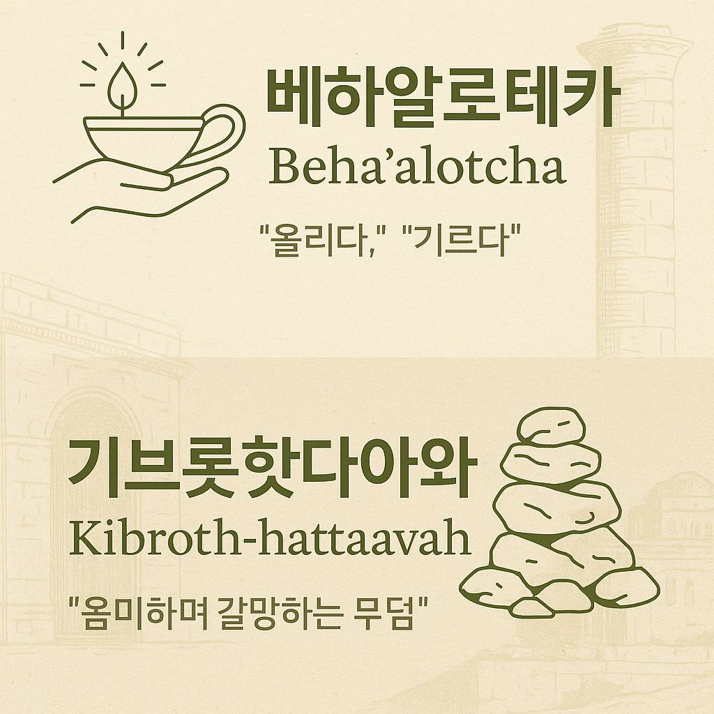 베하알로테카(Beha'alotcha) & 기브롯 핫타아와(Kibroth-hattaavah)