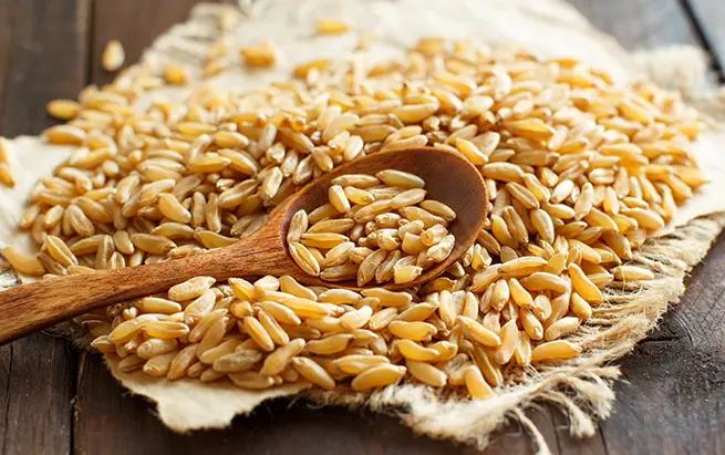 카무트-슈퍼곡물