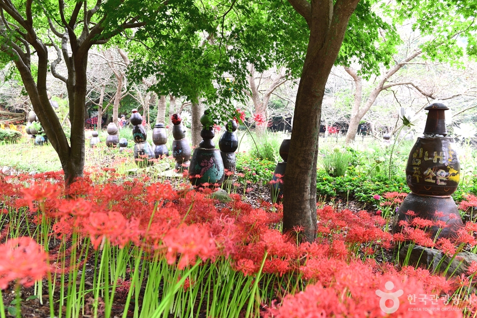 함평 가볼만한곳 베스트10