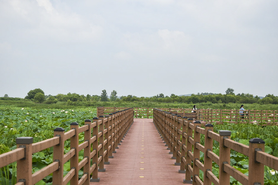 익산 용안생태습지